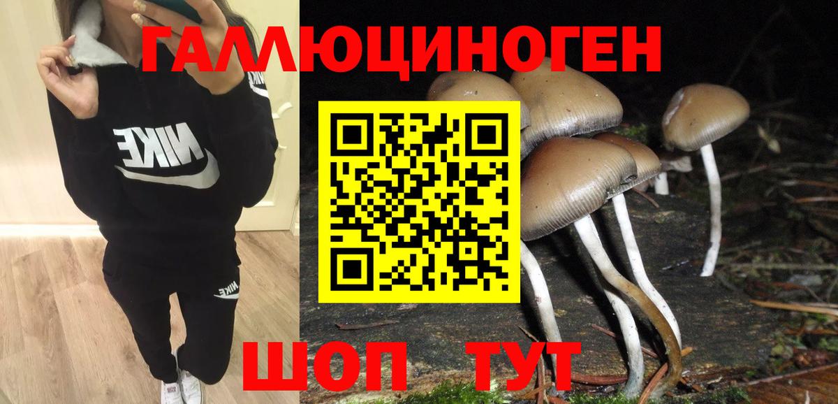 Галлюциногенные грибы GOLDEN TEACHER Сыктывкар